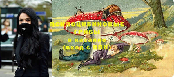 стафф Богородск