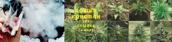 стафф Богородск
