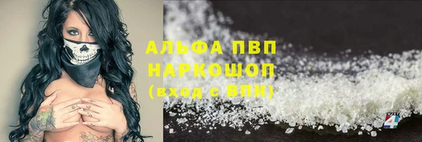 гашиш Богданович