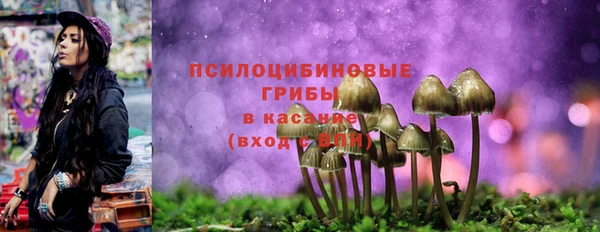 гашиш Богданович