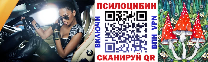 купить наркоту Суворов Галлюциногенные грибы мицелий